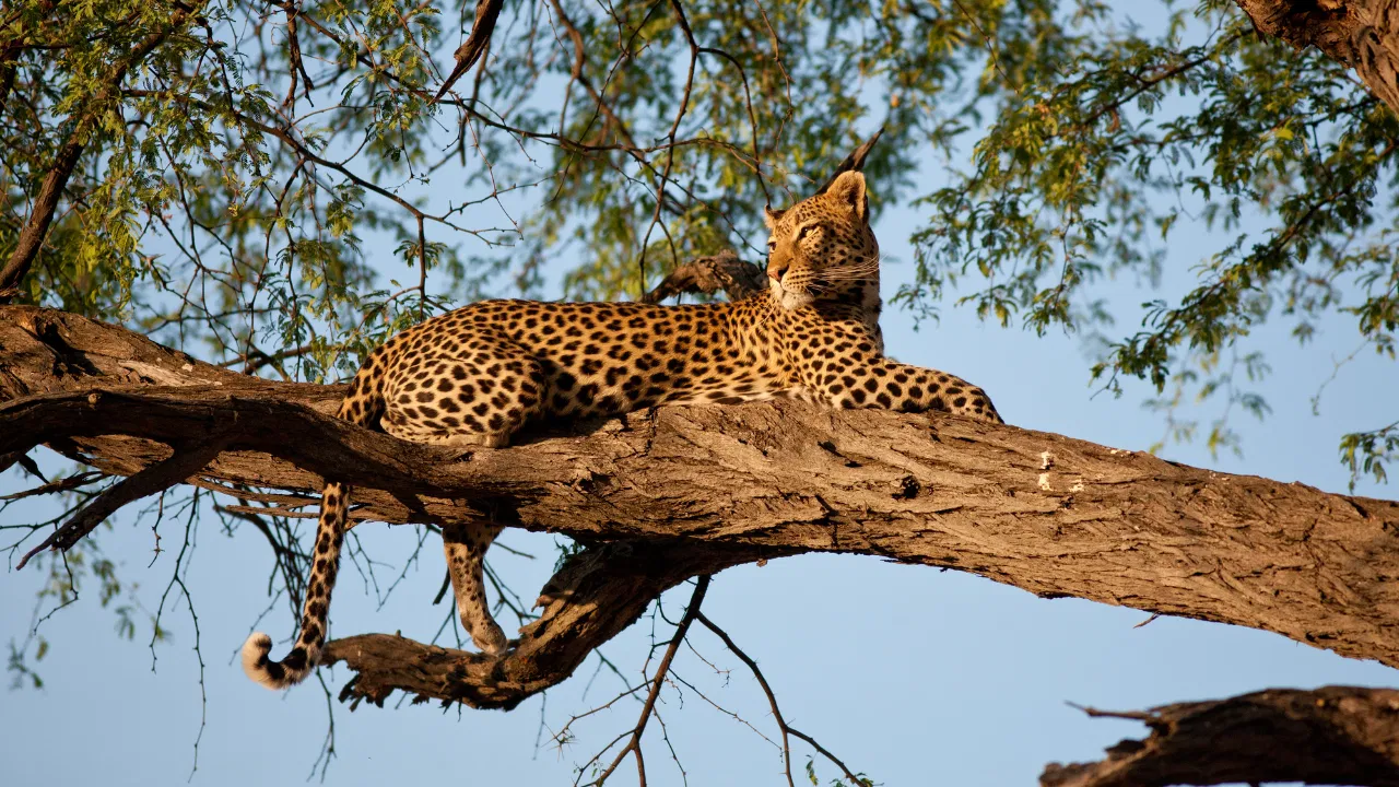 Kedarnath Wildlife Sanctuary