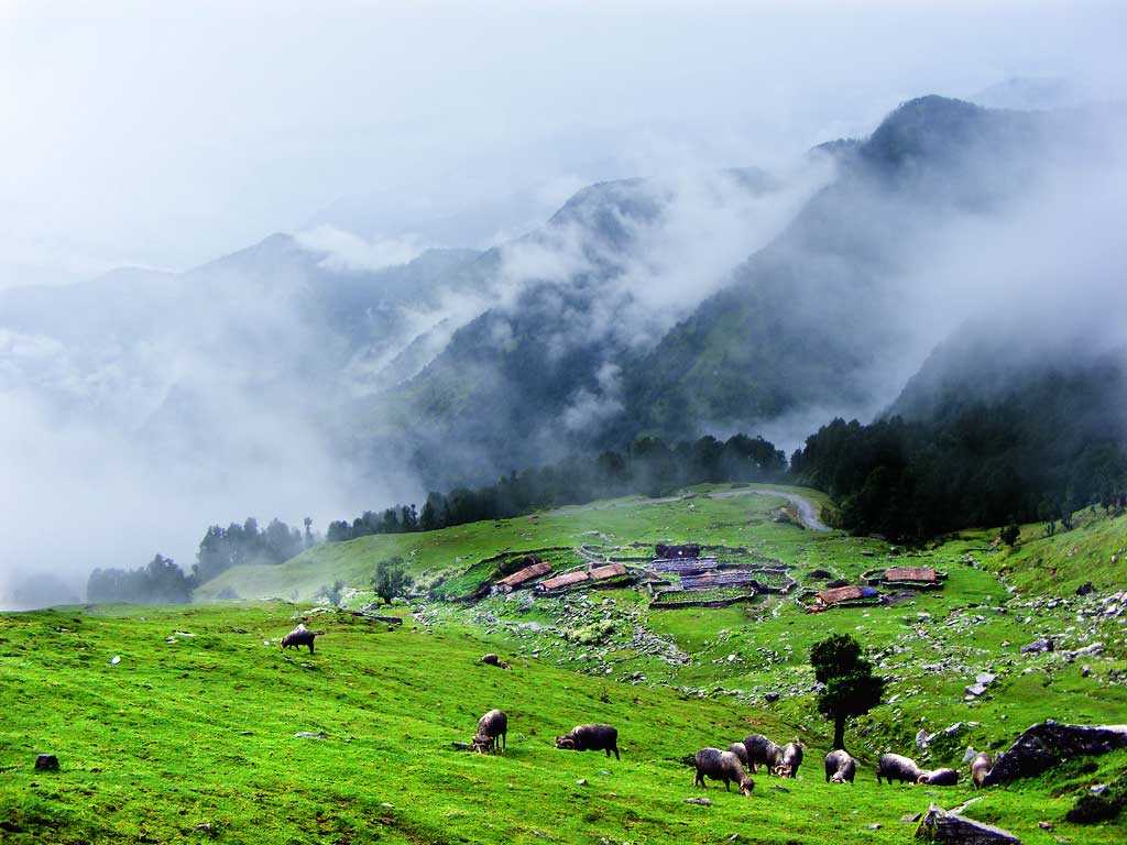 chopta Chandrashila Trek