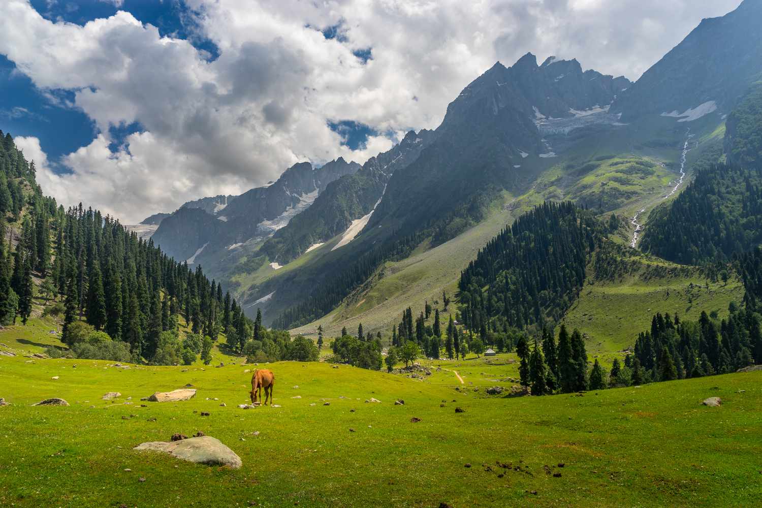 chopta tour package