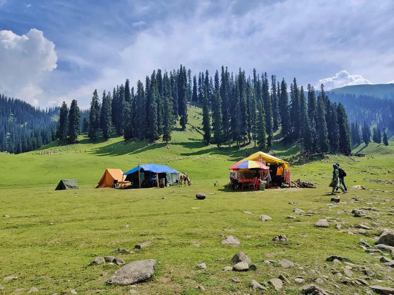 chopta tour package