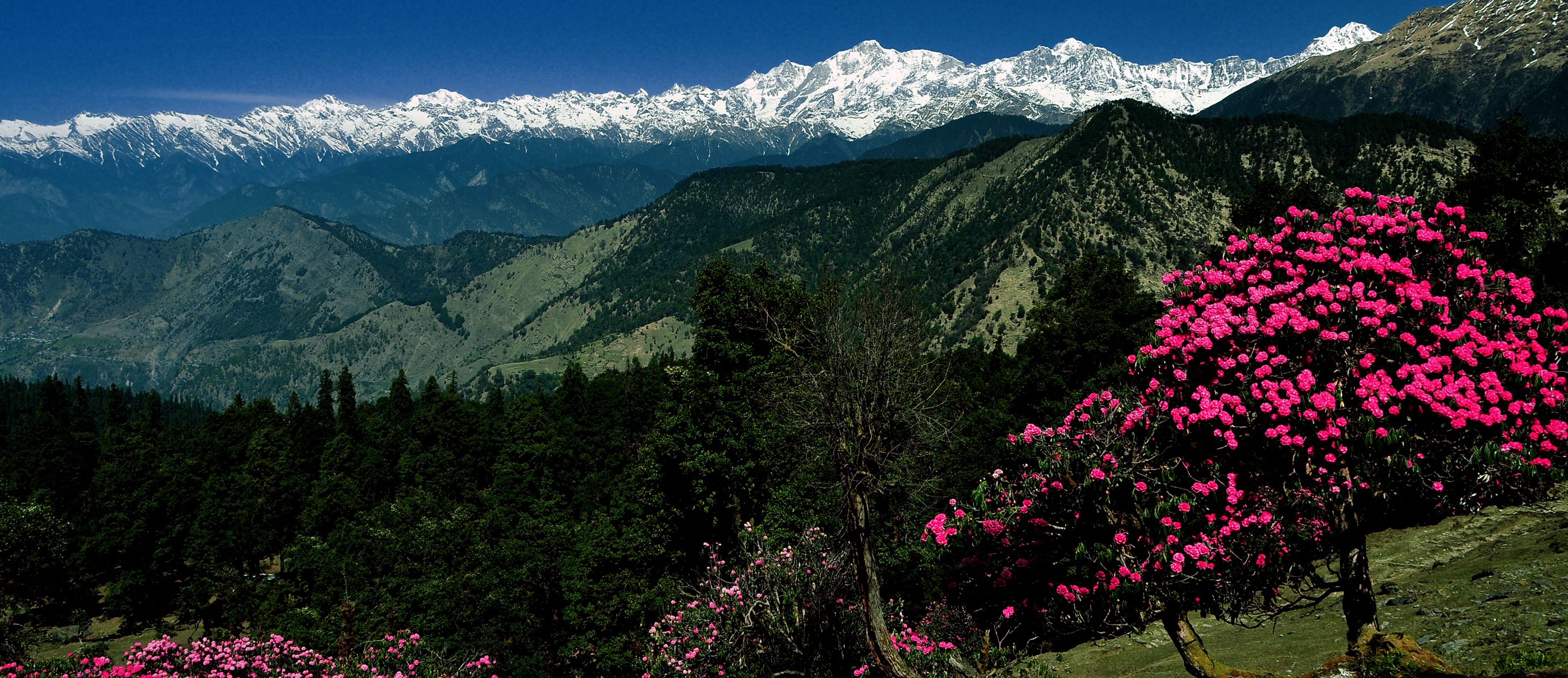 Sonmarg Image