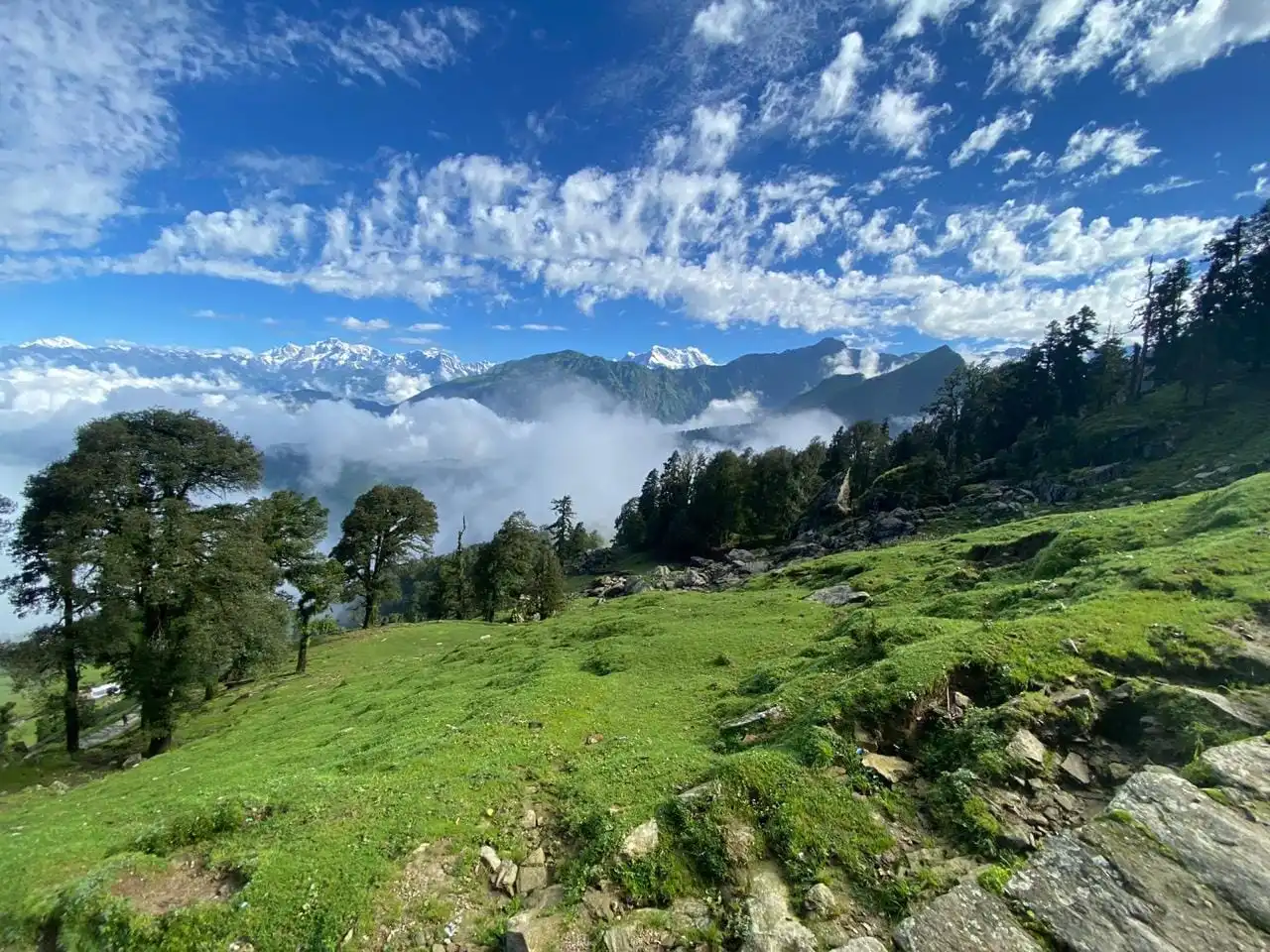 Chopta Tour Package